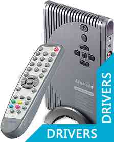ТВ-тюнер AverMedia AVerTV DVI Box 1080i