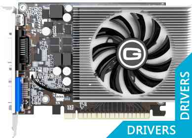  Gainward GeForce GTX 750 1024MB GDDR5 (426018336-3132)