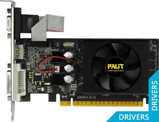  Palit GeForce GT 610 2GB DDR3 (NEAT6100HD46-1193F)
