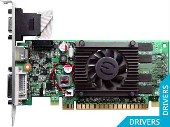 Видеокарта EVGA GeForce 210 1024MB DDR3 (01G-P3-1312-LR)