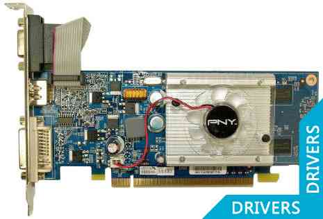 Видеокарта PNY GeForce 210 512MB DDR2 (VCGG2105XPB)