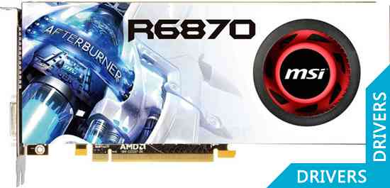  MSI Radeon HD 6870 1GB GDDR5 (R6870-2PM2D1GD5)