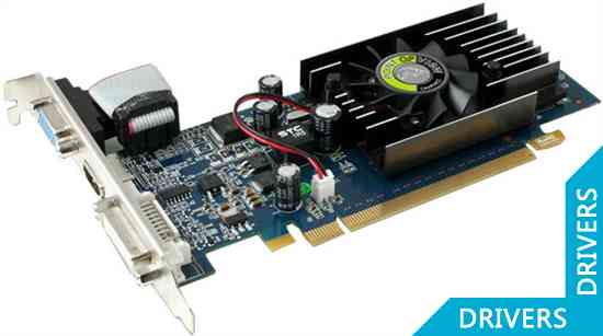  Point of View GeForce 210 512MB SDDR3 (R-VGA150927-D3)