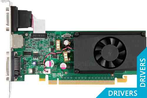 Видеокарта Palit GeForce GT 310 (512 МB DDR2)