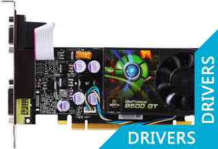 Видеокарта XFX GeForce 9500 GT 1024MB (PV-T95G-ZAFG)