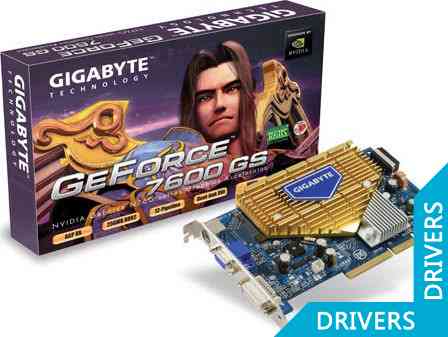 Видеокарта Gigabyte GeForce GV-N76G256D-RH