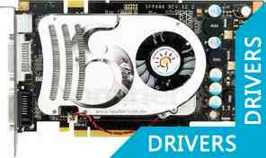 Видеокарта SPARKLE GeForce SF-PX86GTS512D3-HM